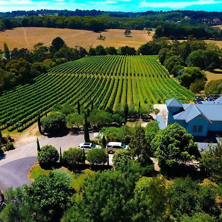 Morning Sun Vineyard Hotel Mornington Peninsula ภายนอก รูปภาพ