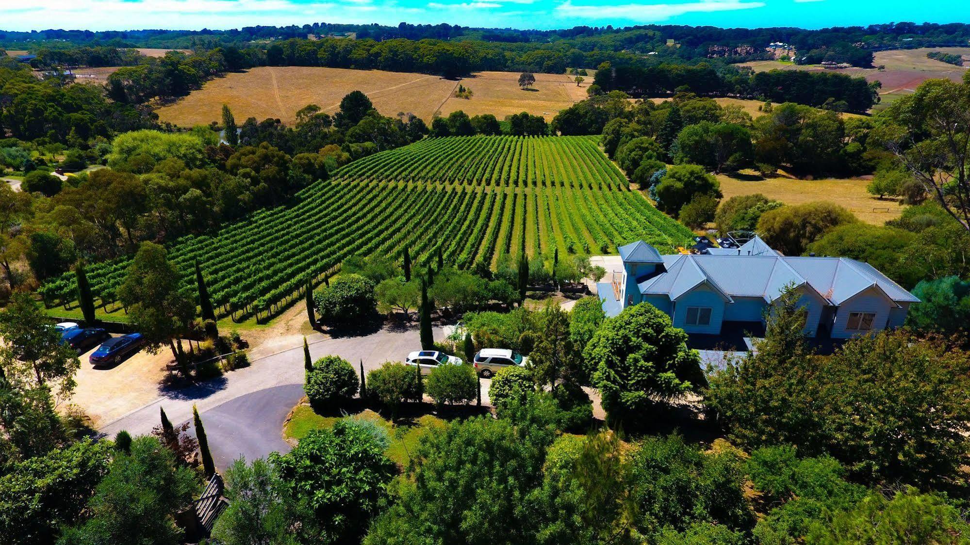 Morning Sun Vineyard Hotel Mornington Peninsula ภายนอก รูปภาพ